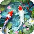 Lively Koi Fish 3D Theme