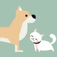 ไอคอนของโปรแกรม: Talking Pet  Pet Translat…