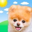 プログラムのアイコン：Boo Weather