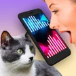 Ícone do programa: Cat Translator Simulator