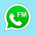 程序图标：FM Wasahp Pro V8 2022