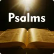 Psalms Biblical in your hands