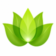 Icoon van programma: Mental Wellness: BetterMi…
