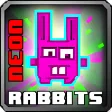 Neon rabbits