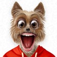 Ícone do programa: My Talking Animals  Pet A…
