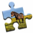 Ikona programu: Pony Love Puzzle