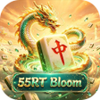 Иконка программы: 55RTBloom