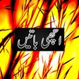 程序图标：Achi Batain in Urdu