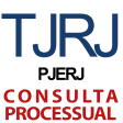 Consulta Processual TJRJ PJER
