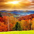 Programikonen: Autumn Live Wallpaper