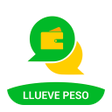 プログラムのアイコン：LLUEVE PESO