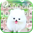 程序图标：Fluffy Cute Dog Keyboard …