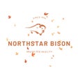 Icoon van programma: Northstar Bison