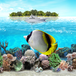 程序图标：Tropical Ocean Wallpaper …