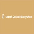 Ikon program: Search Console Everywhere