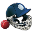 Icon of program: Cricket Captain 2014