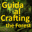 プログラムのアイコン：Guida al crafting the for…