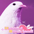 Icoon van programma: Hatoful Boyfriend