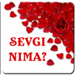 Sevgi nima kitobcha icon