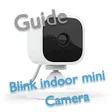 程序图标：Blink indoor mini camera …