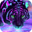 程序图标：Neon Animal Wallpaper