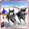 Sled Dog Racing 2017