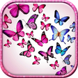 程序图标：Butterfly Live Wallpaper