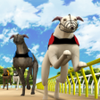 프로그램 아이콘: Simple Greyhound Racing