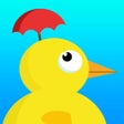 プログラムのアイコン：Weather Duck