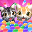 Programikon: Cat Bubble
