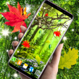 程序图标：Autumn Leaves Parallax 3d