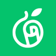 程序图标：爱青果阅读