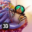 Insect Fly Life Survival Simulator icon