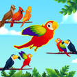 Icoon van programma: Bird Sort - Color Birds G…