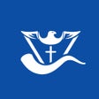 Programikonen: Prophecy Now