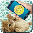 プログラムのアイコン：Cat translator prank