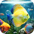 Icon of program: Ocean Fish Live Wallpaper