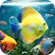 Download Live Fish Wallpaper - Best Software & Apps