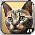 أيقونة البرنامج: My Cat AR: Real Cat Simul…