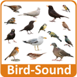 Programikonen: Bird Sounds