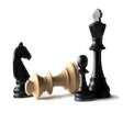 프로그램 아이콘: Chess Game Analyzer