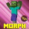 Ikon program: Morph Addon