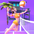 程序图标：Beach Volleyball Game