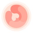 ไอคอนของโปรแกรม: HiMommy - daily pregnancy…