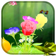 Programikonen: Rose 3D Live Wallpaper