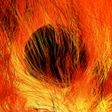 Programikon: Distributed Fire