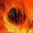 Pictogram van programma: Distributed Fire
