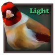 プログラムのアイコン：Birdquiz Free