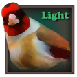 プログラムのアイコン：Birdquiz Free
