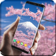 Programikonen: Romantic Sakura 3D Live W…